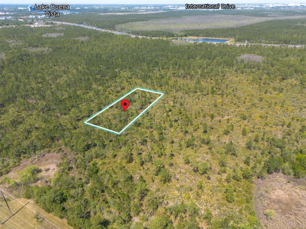 Sr-535 Orlando FL 32821 O6290435 image2