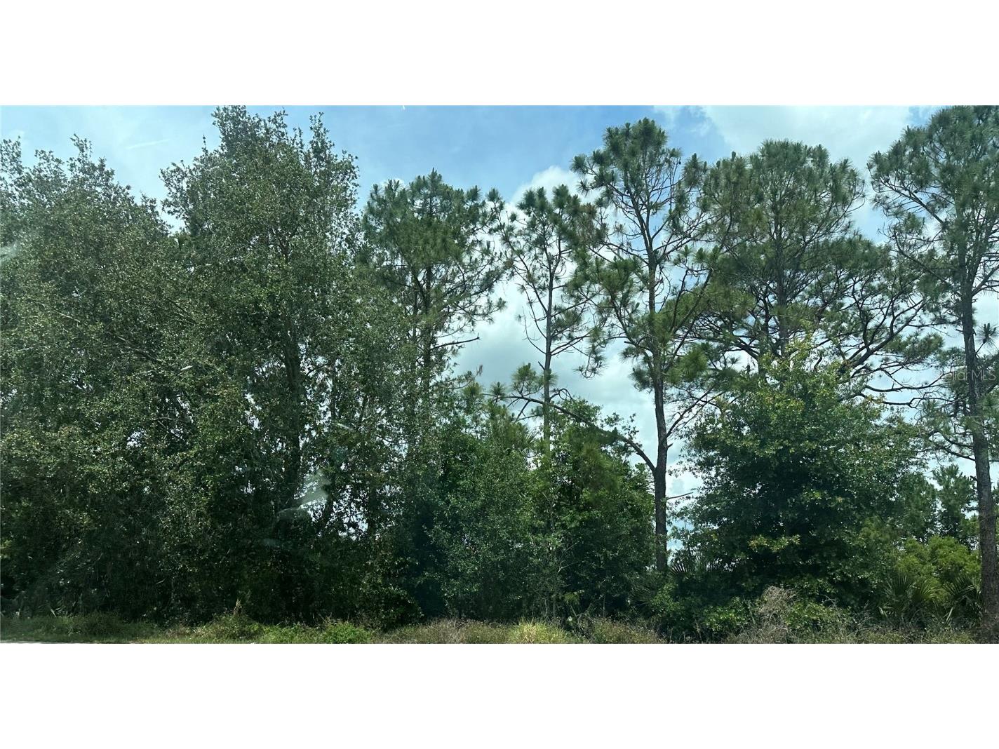 Sr-535 Orlando FL 32821 O6305830 image1