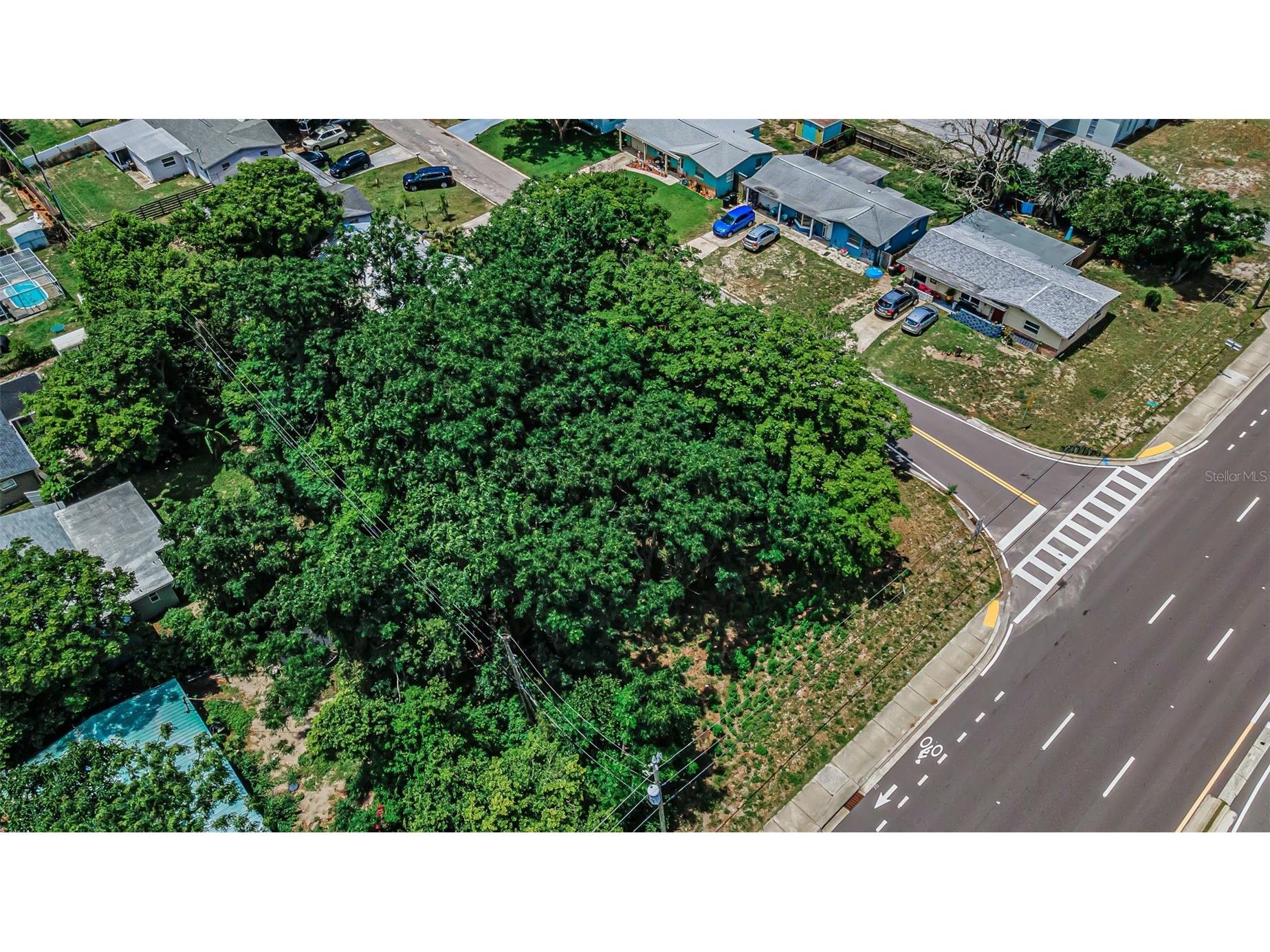 Sr 54 New Port Richey FL 34652 TB8514046 image9