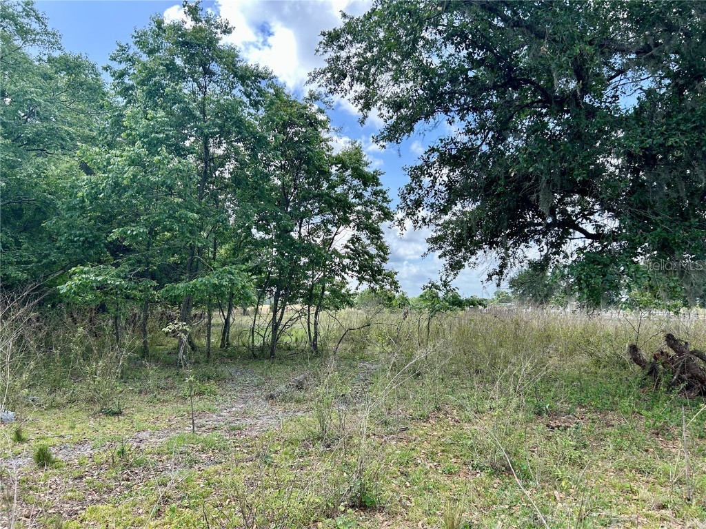 Sr-64 Zolfo Springs FL 33890 L4949380 image10