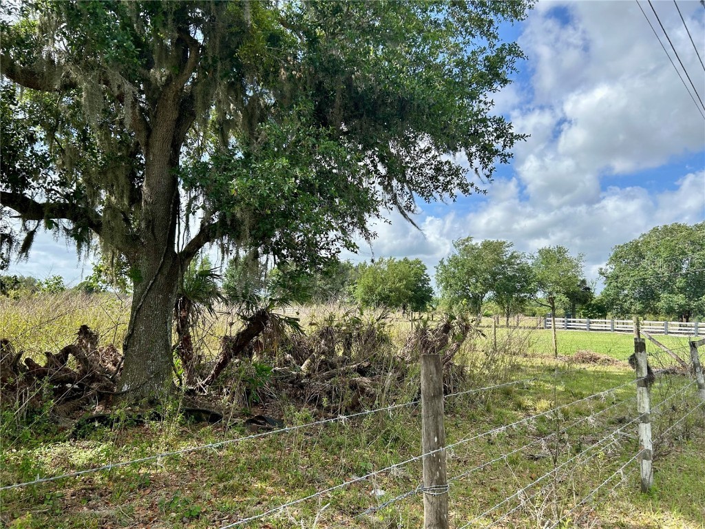 Sr-64 Zolfo Springs FL 33890 L4949380 image13