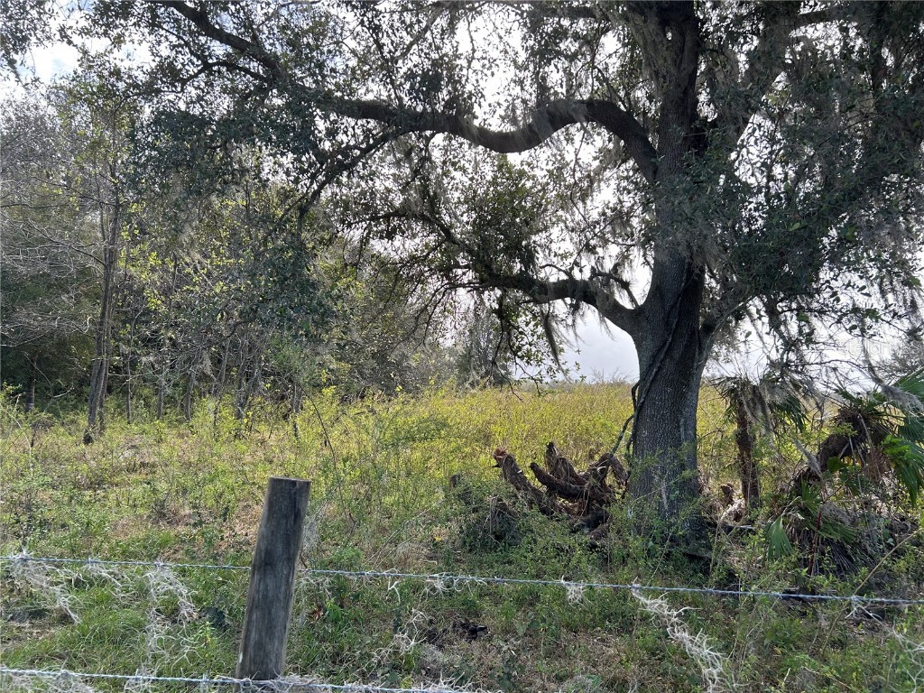 Sr-64 Zolfo Springs FL 33890 L4949380 image5