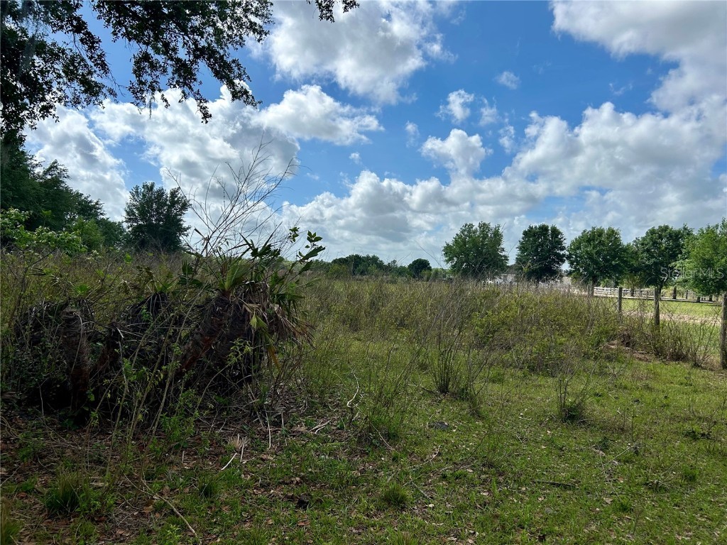 Sr-64 Zolfo Springs FL 33890 L4949380 image8
