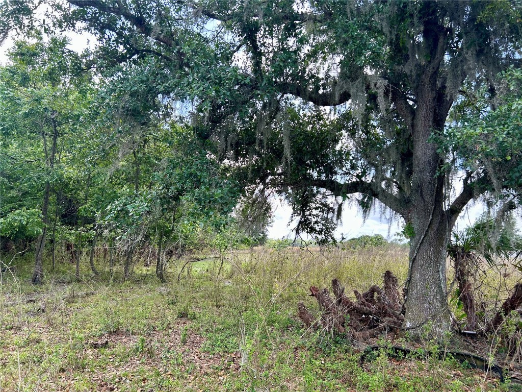 Sr-64 Zolfo Springs FL 33890 L4949380 image9
