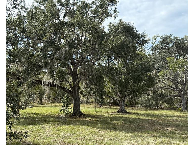Sr-70 E Myakka City FL 34251 A4674452 image1