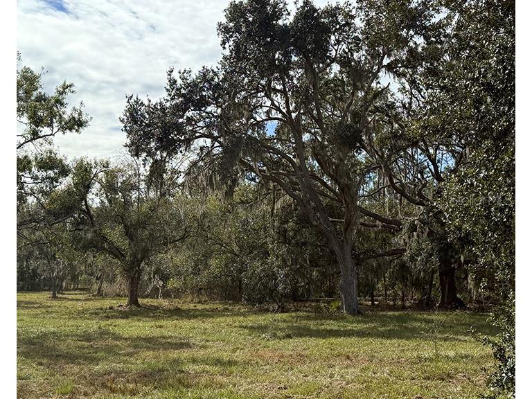 Sr-70 E Myakka City FL 34251 A4674452 image2