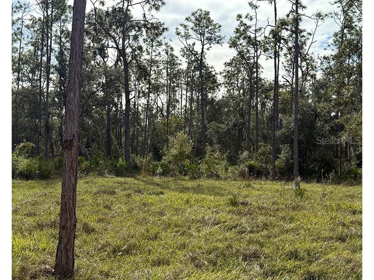 Sr-70 E Myakka City FL 34251 A4674452 image3