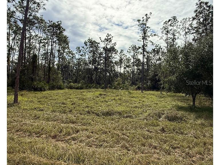 Sr-70 E Myakka City FL 34251 A4674452 image4