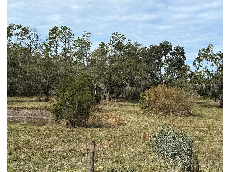 Sr-70 E Myakka City FL 34251 A4674452 image5