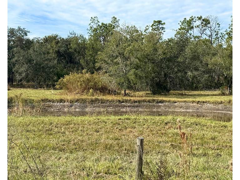 Sr-70 E Myakka City FL 34251 A4674452 image6