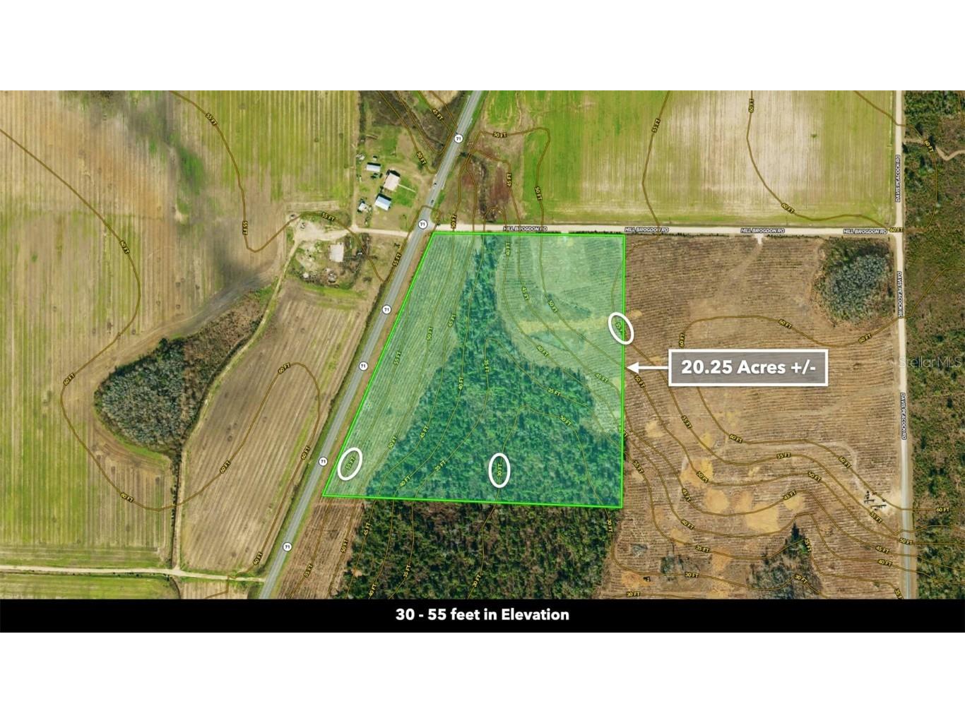 Sr 71 S Wewahitchka FL 32449 T3538966 image10