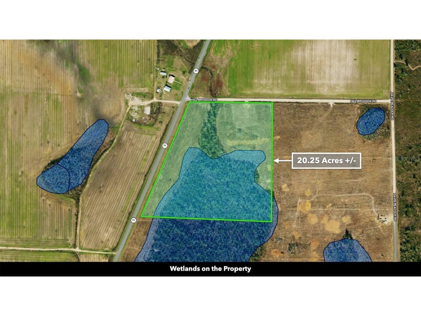 Sr 71 S Wewahitchka FL 32449 T3538966 image11