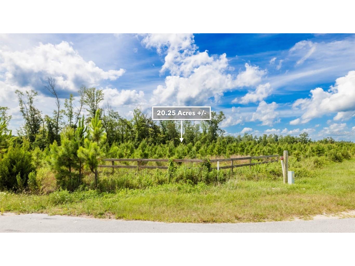 Sr 71 S Wewahitchka FL 32449 T3538966 image21