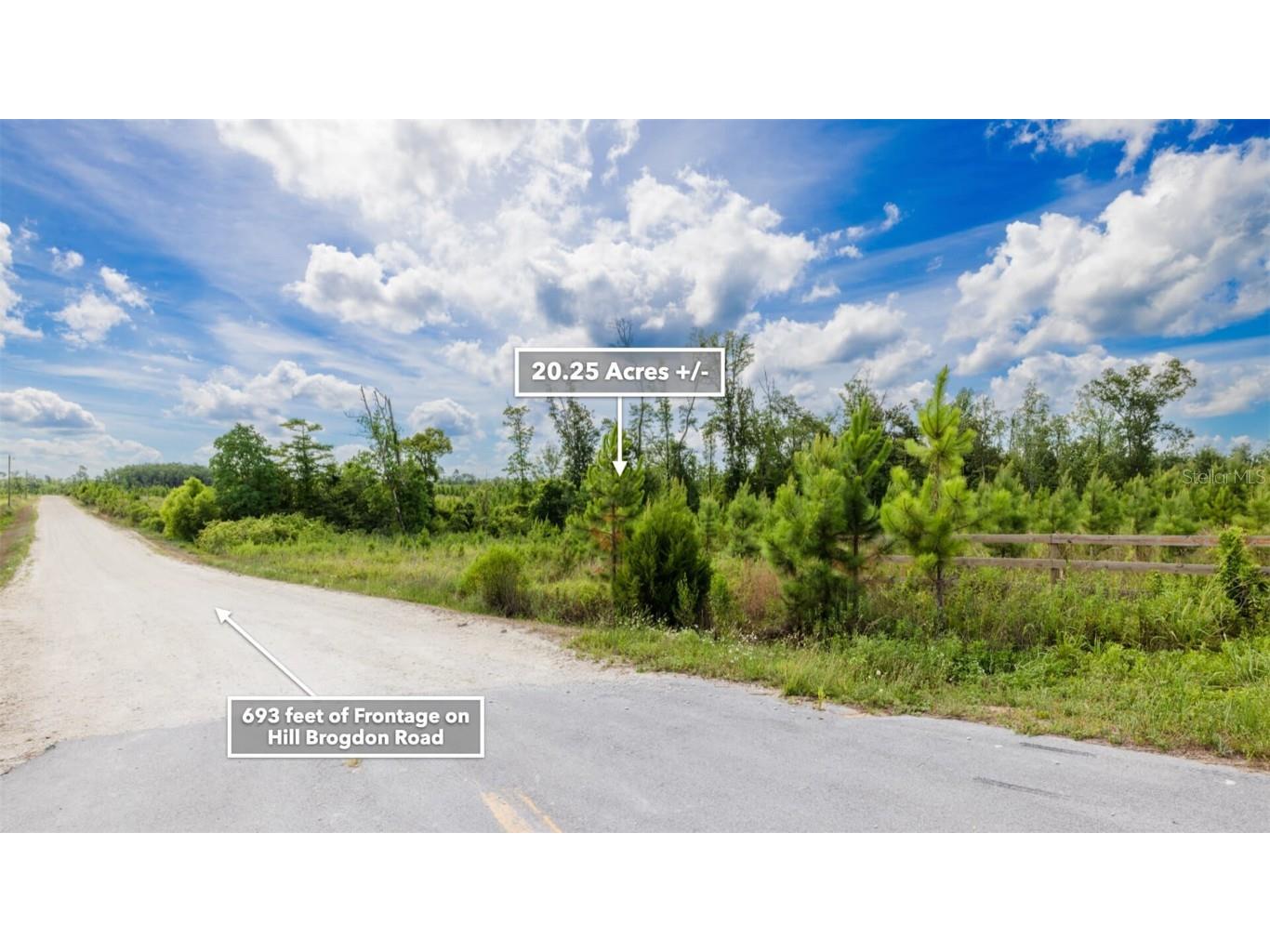 Sr 71 S Wewahitchka FL 32449 T3538966 image22