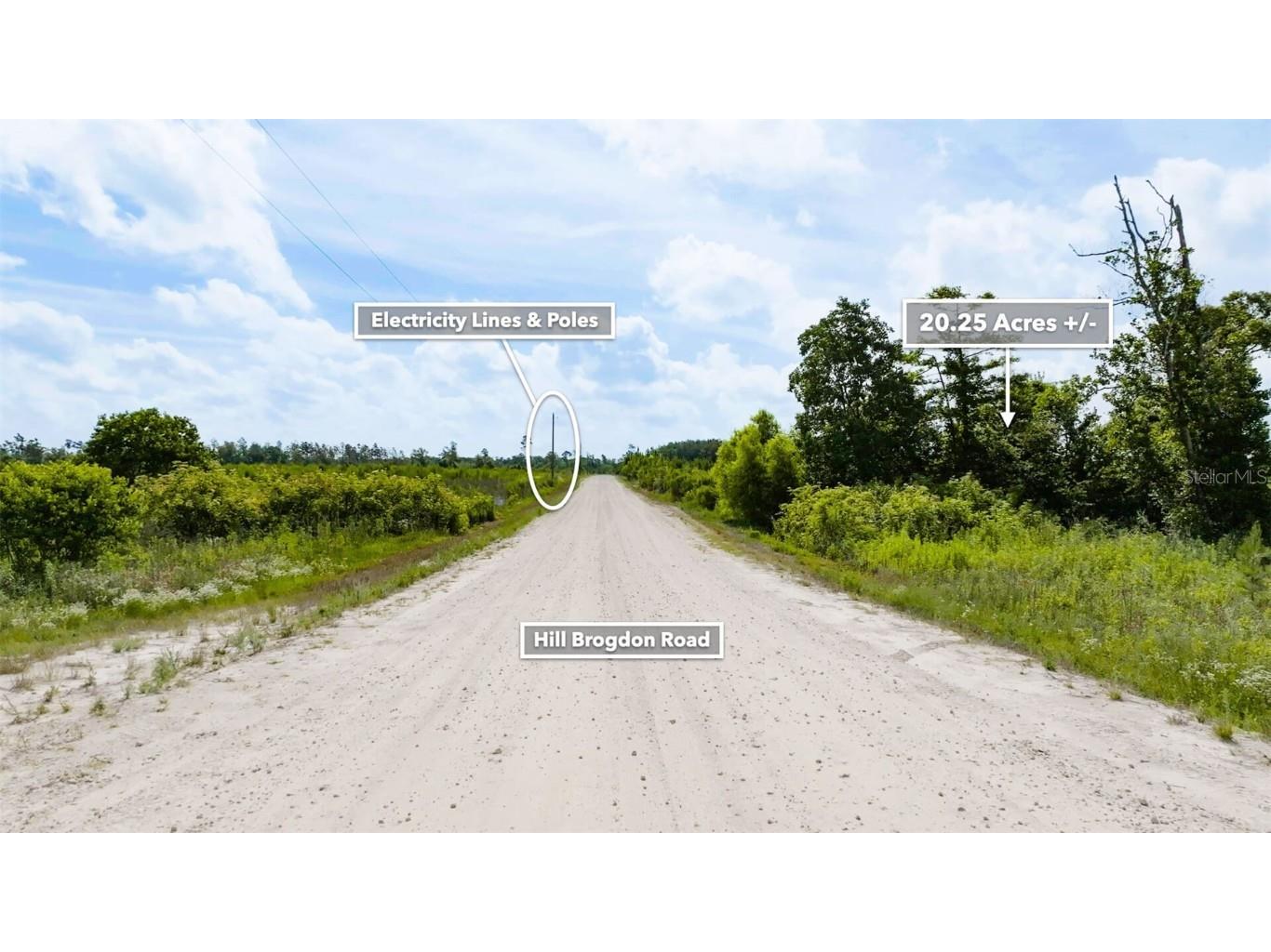 Sr 71 S Wewahitchka FL 32449 T3538966 image23