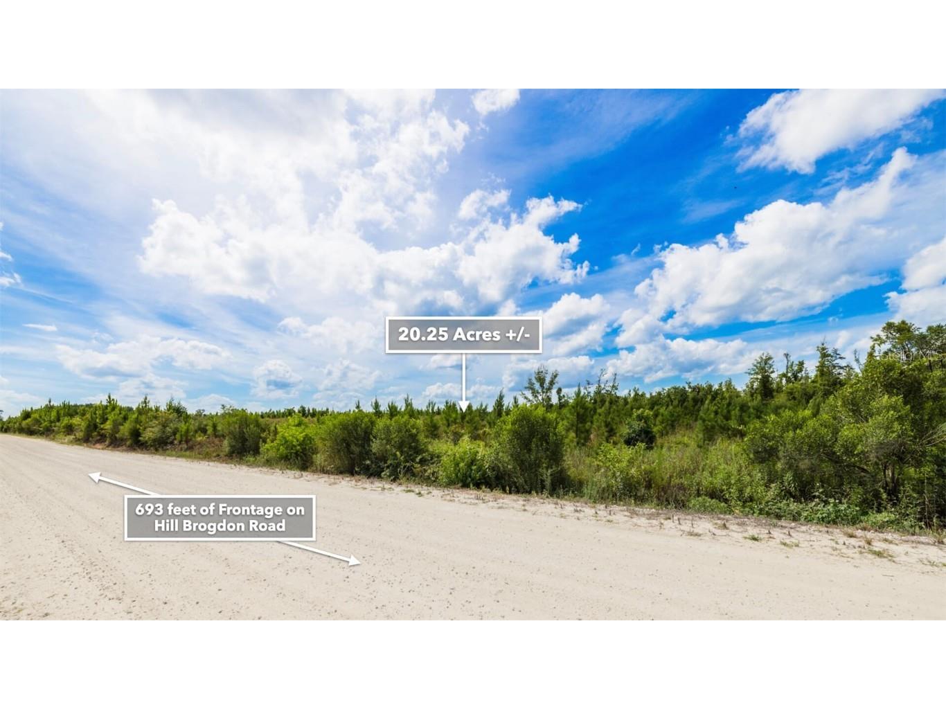 Sr 71 S Wewahitchka FL 32449 T3538966 image27