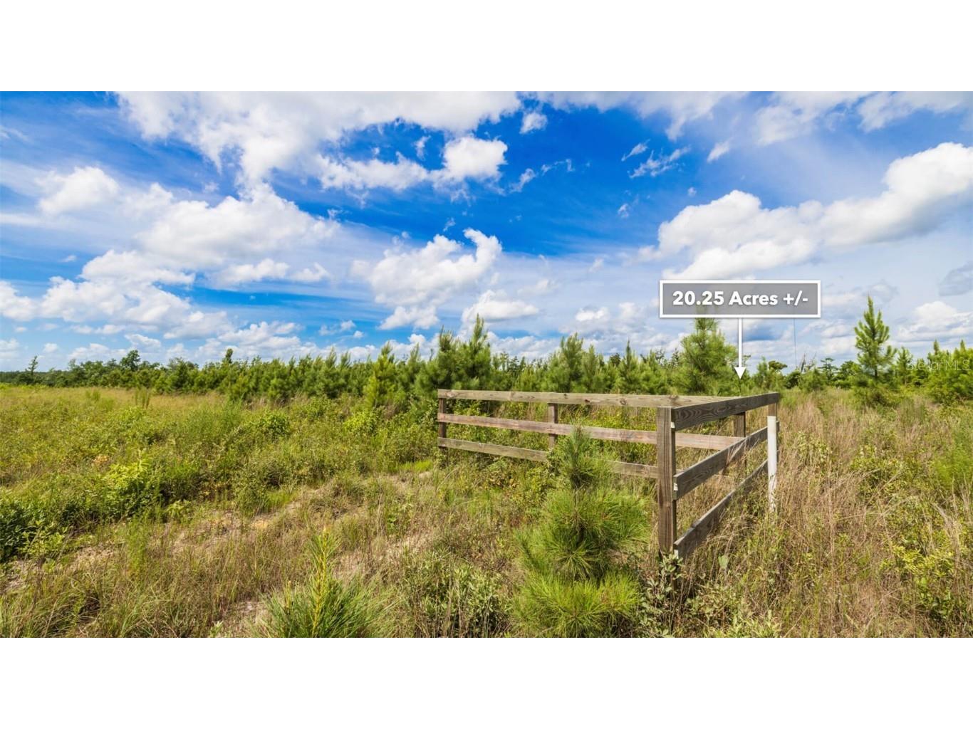 Sr 71 S Wewahitchka FL 32449 T3538966 image28