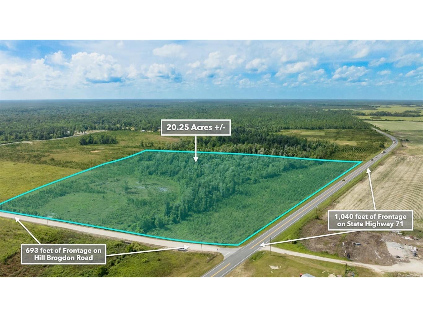 Sr 71 S Wewahitchka FL 32449 T3538966 image29