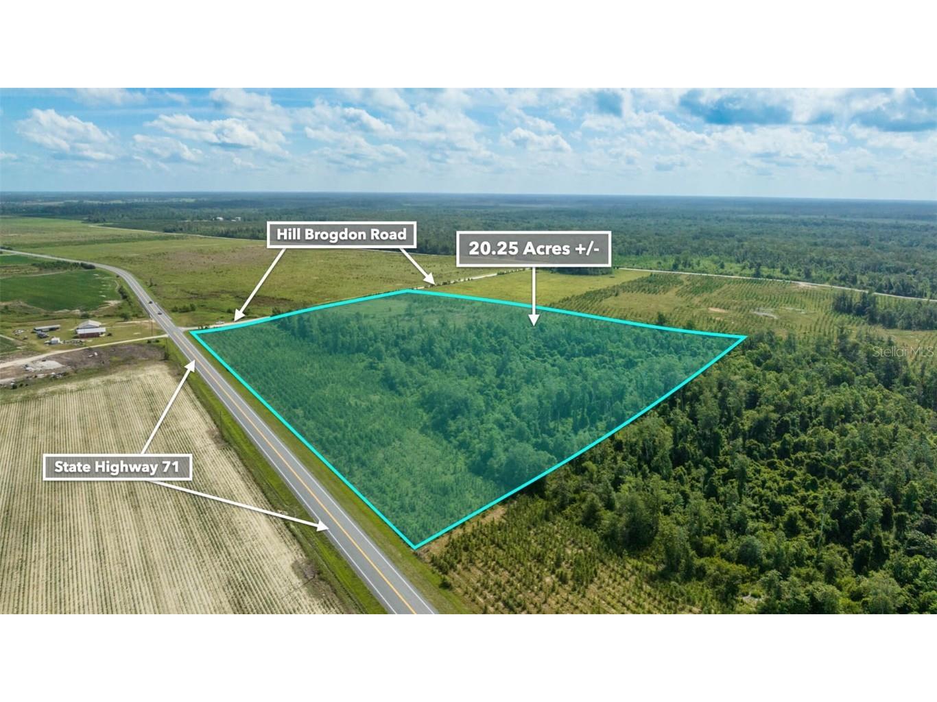 Sr 71 S Wewahitchka FL 32449 T3538966 image30