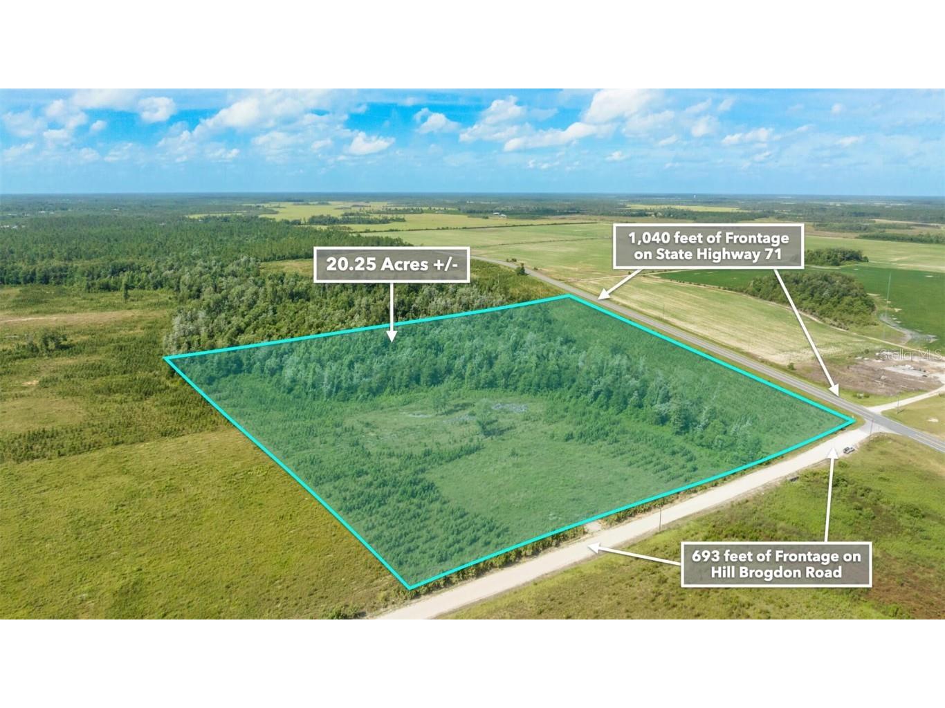 Sr 71 S Wewahitchka FL 32449 T3538966 image32
