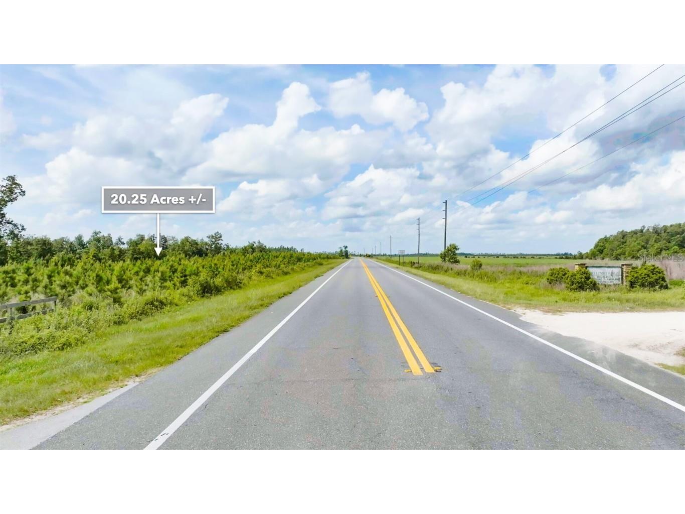 Sr 71 S Wewahitchka FL 32449 T3538966 image4