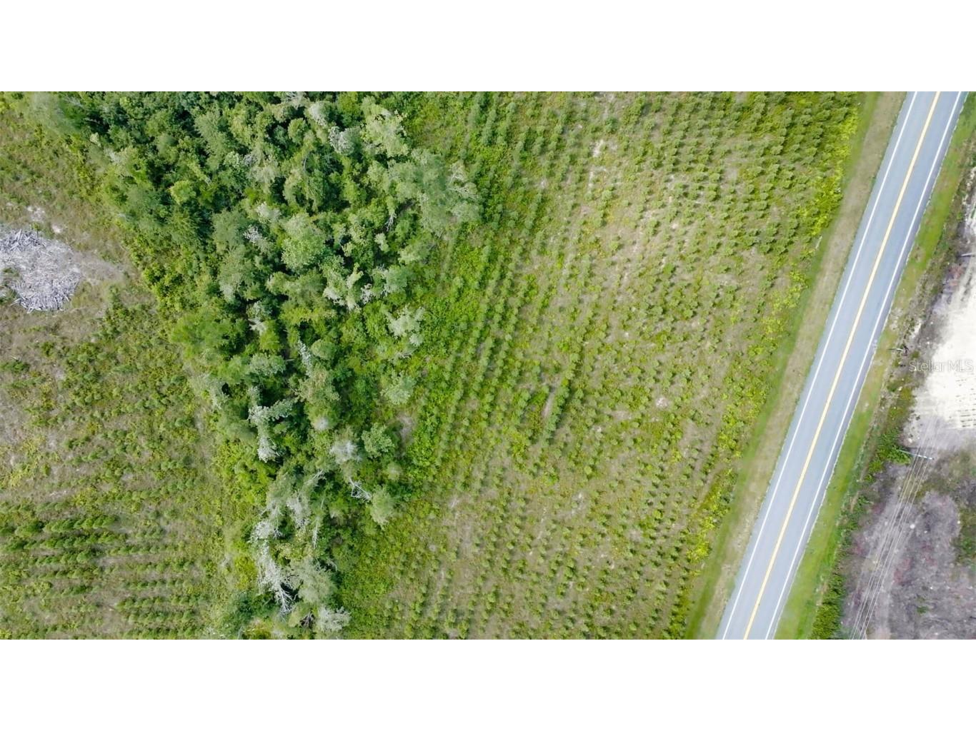 Sr 71 S Wewahitchka FL 32449 T3538966 image8