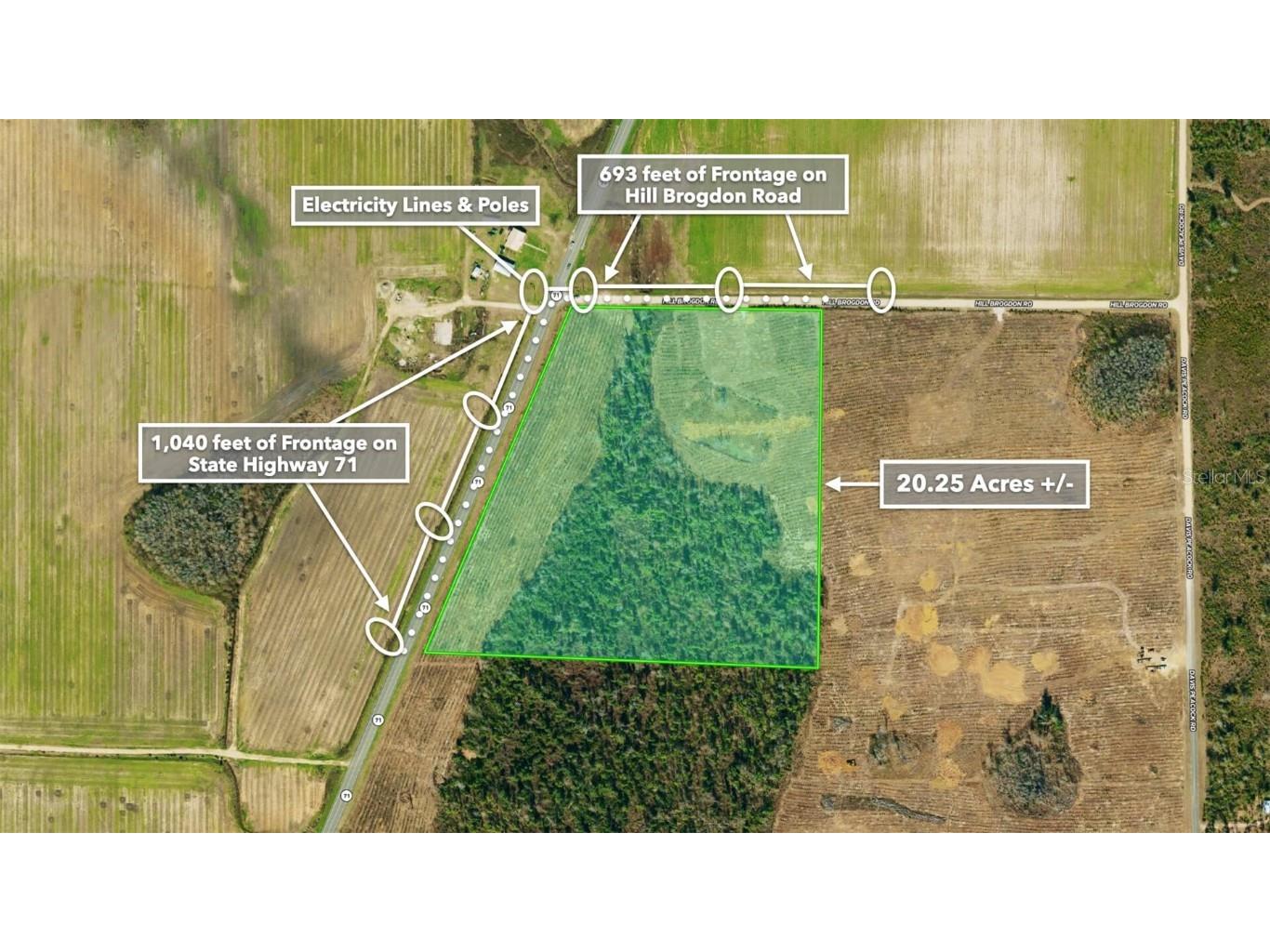 Sr 71 S Wewahitchka FL 32449 T3538966 image9