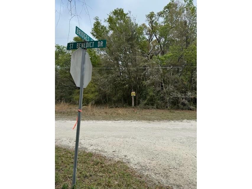 St Benedict Drive Dunnellon FL 34431 OM674215 image1