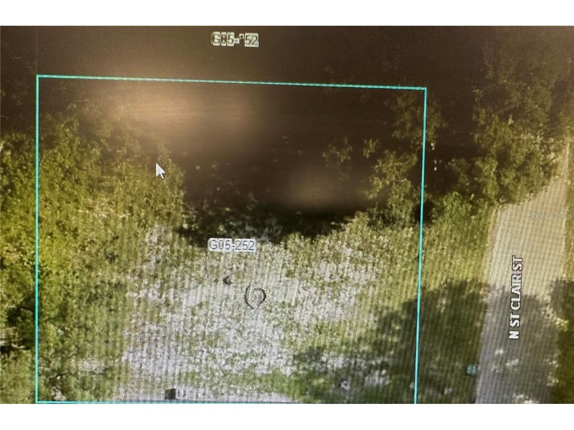 St Clair Wildwood FL 34785 G5071144 image1