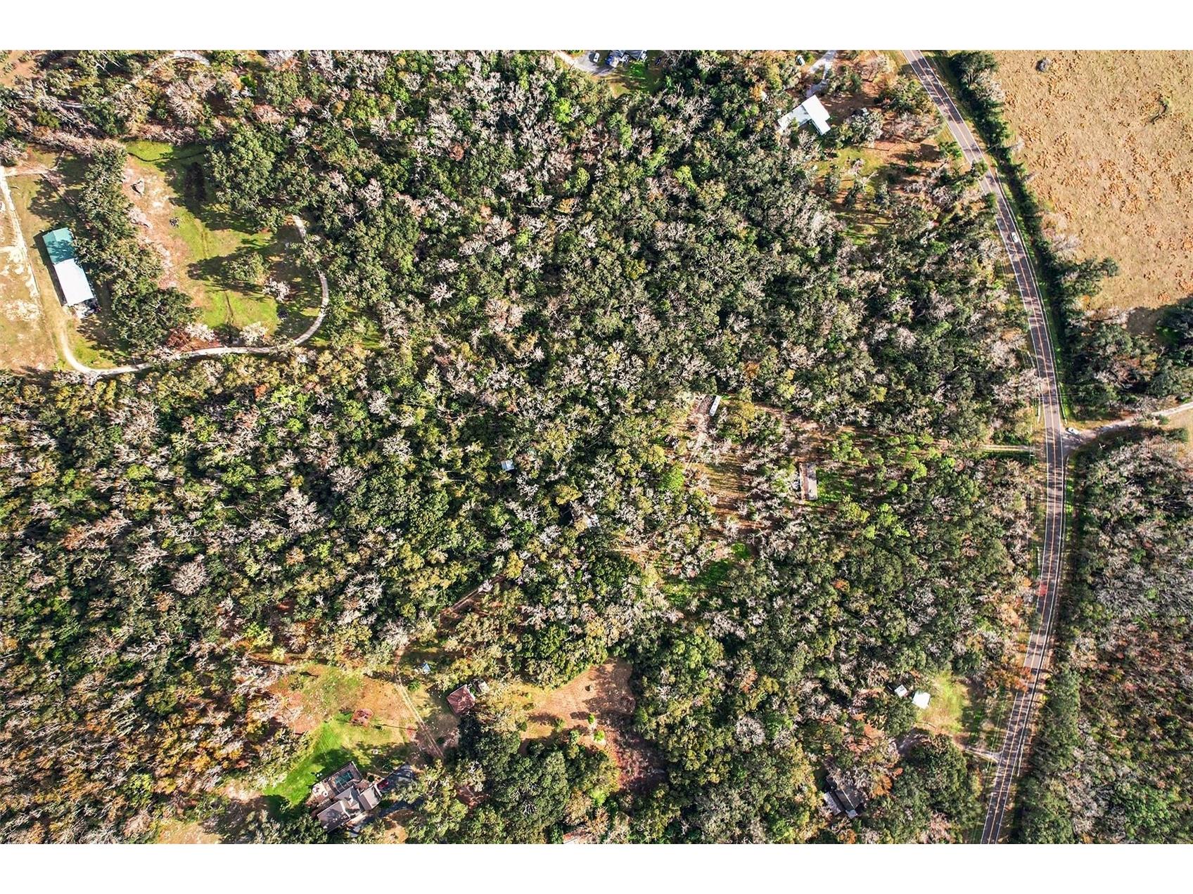 St Joe Road Dade City FL 33525 OM716680 image3