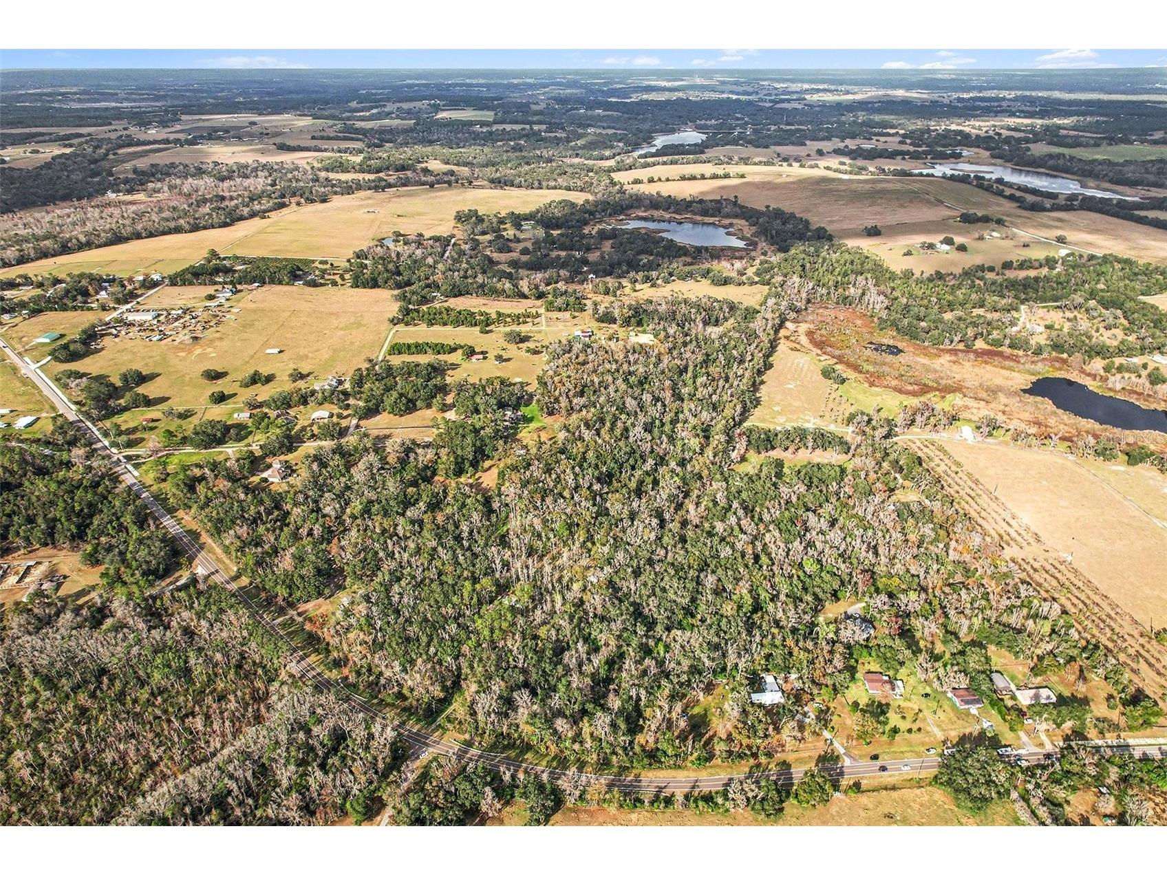 St Joe Road Dade City FL 33525 OM716680 image4