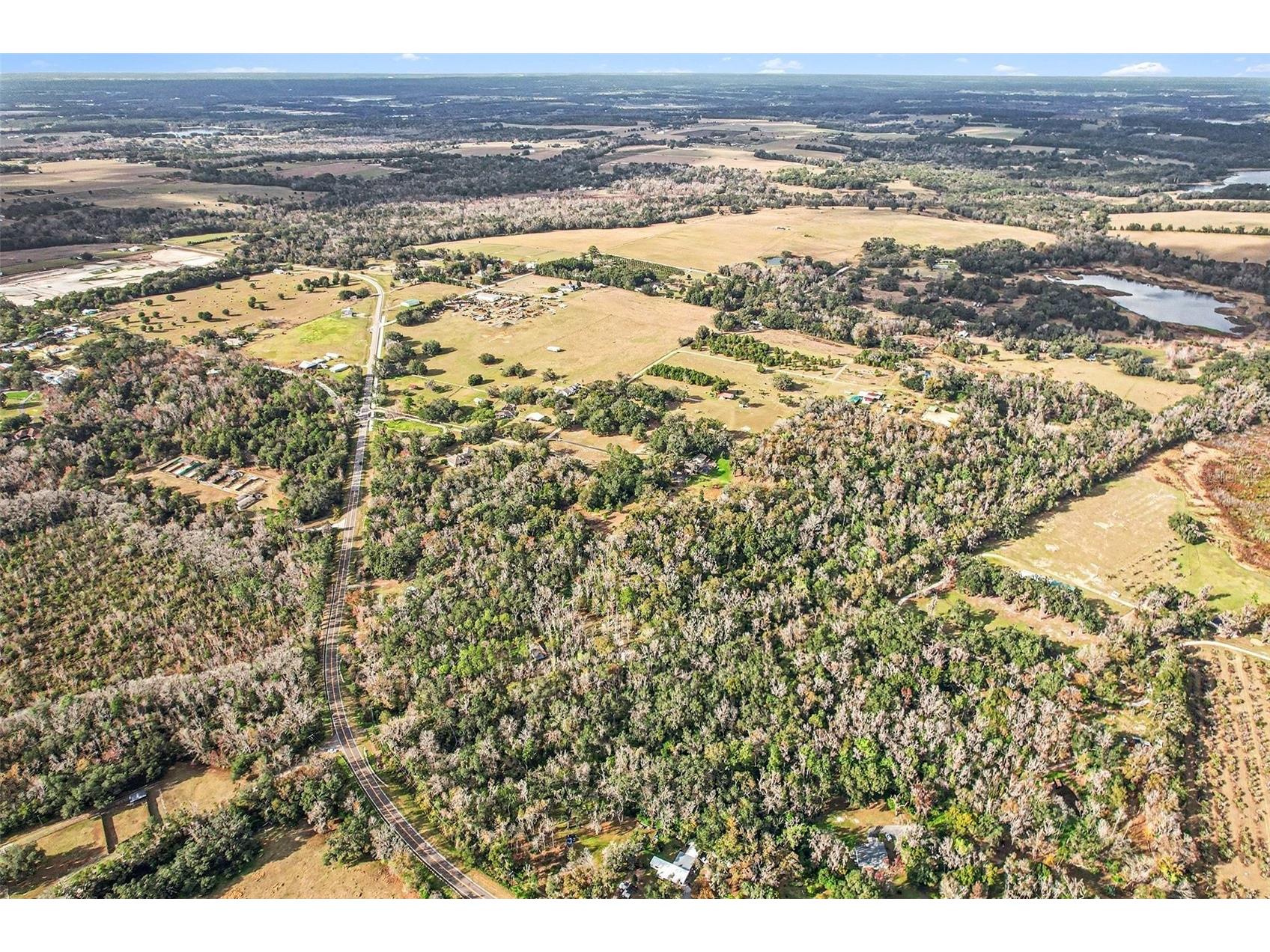 St Joe Road Dade City FL 33525 OM716680 image5