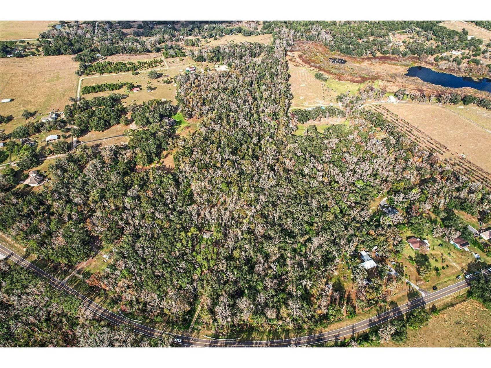 St Joe Road Dade City FL 33525 OM716680 image7