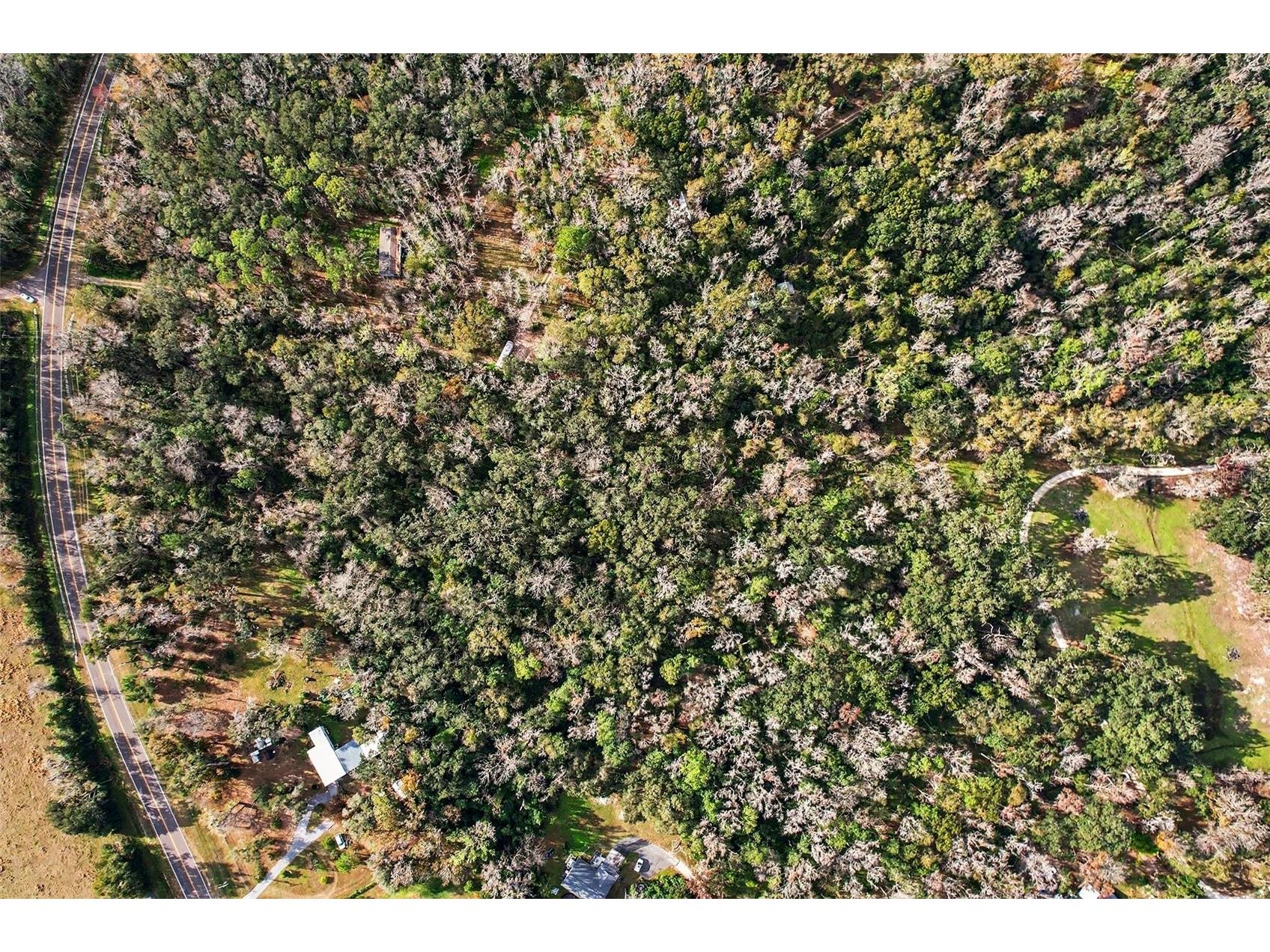 St Joe Road Dade City FL 33525 OM716680 image8