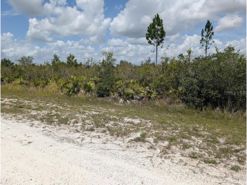 St Petersburg Drive Indian Lake Estates FL 33855 - LAKE WALK-IN-WATER T3518411 image3