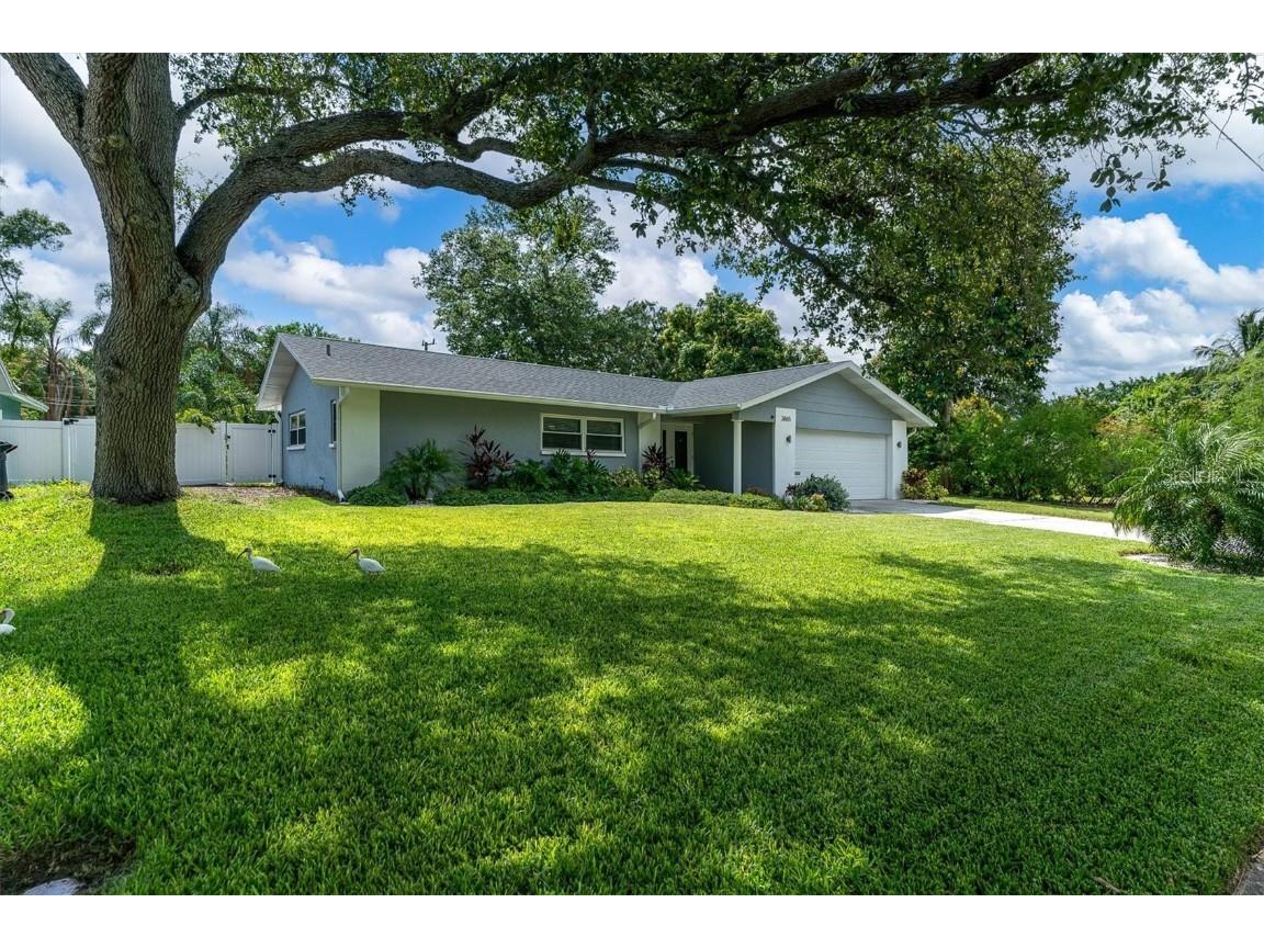  Saint Petersburg FL 33711 U8205151 image1