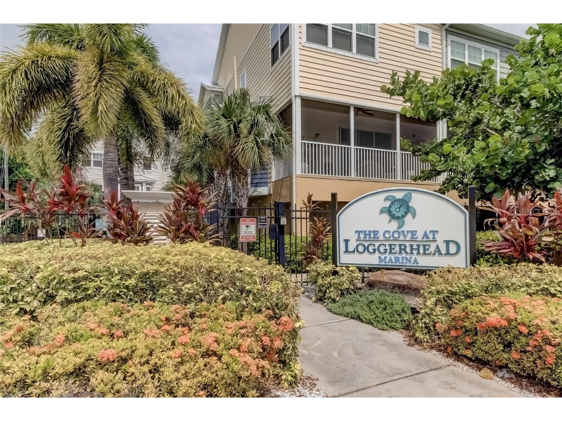  Saint Petersburg FL 33712 U8209255 image1