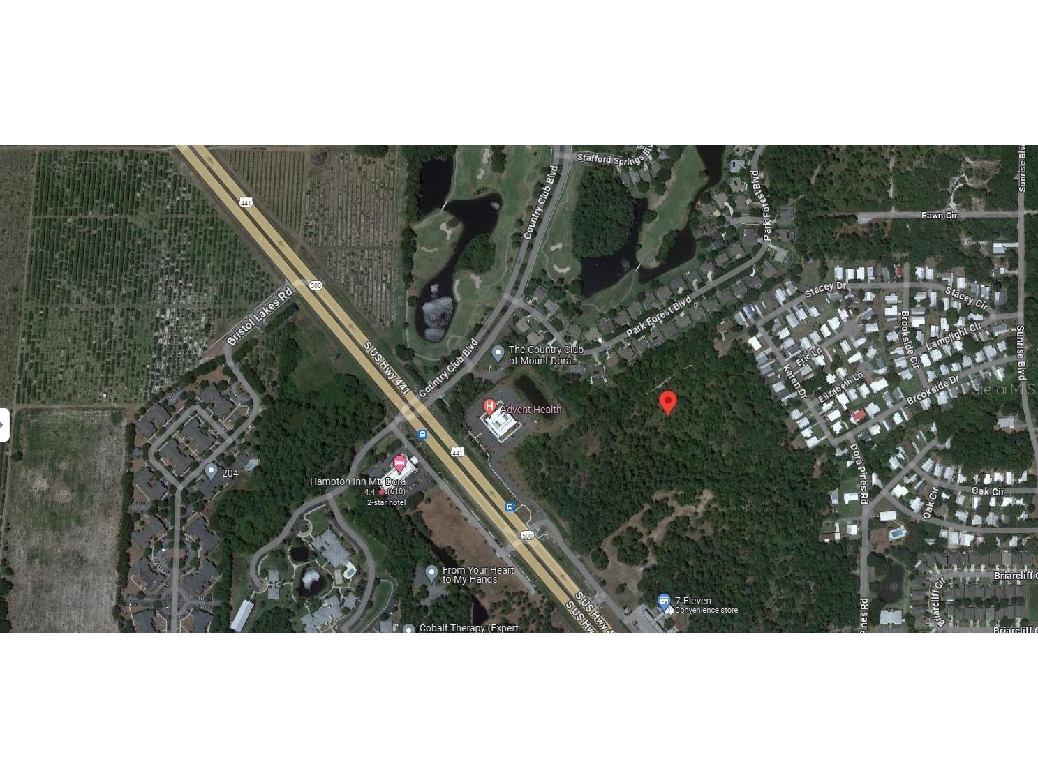 Stacey Drive Mount Dora FL 32757 G5079566 image1