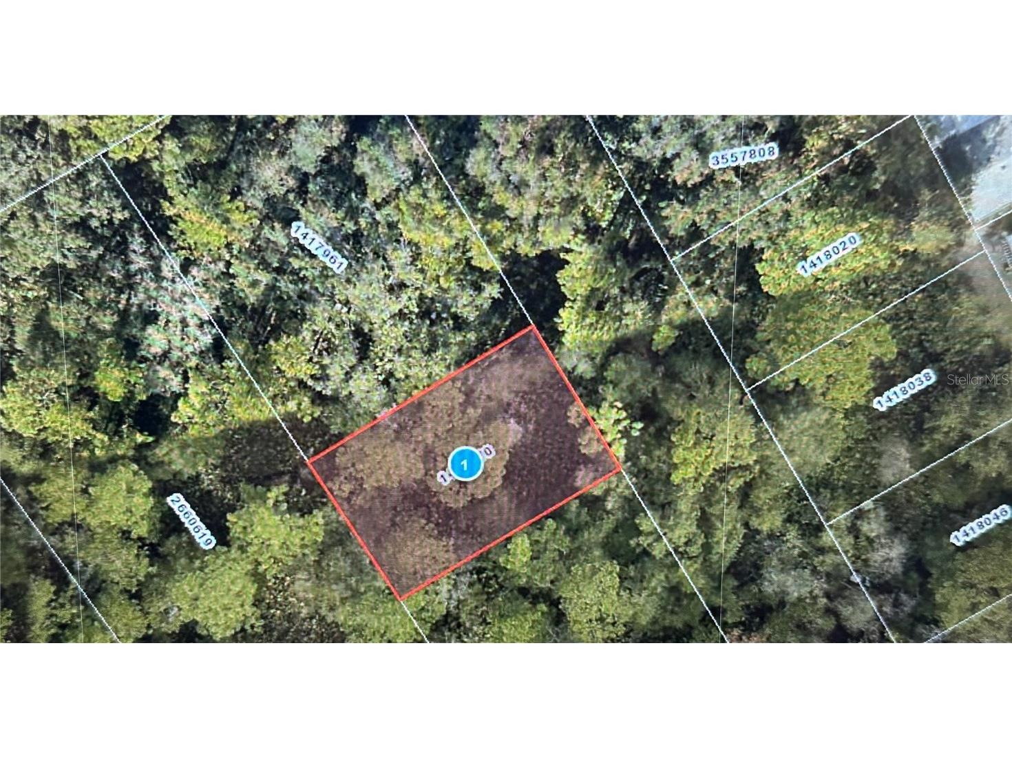 Stacey Drive Mount Dora FL 32757 G5090121 image1