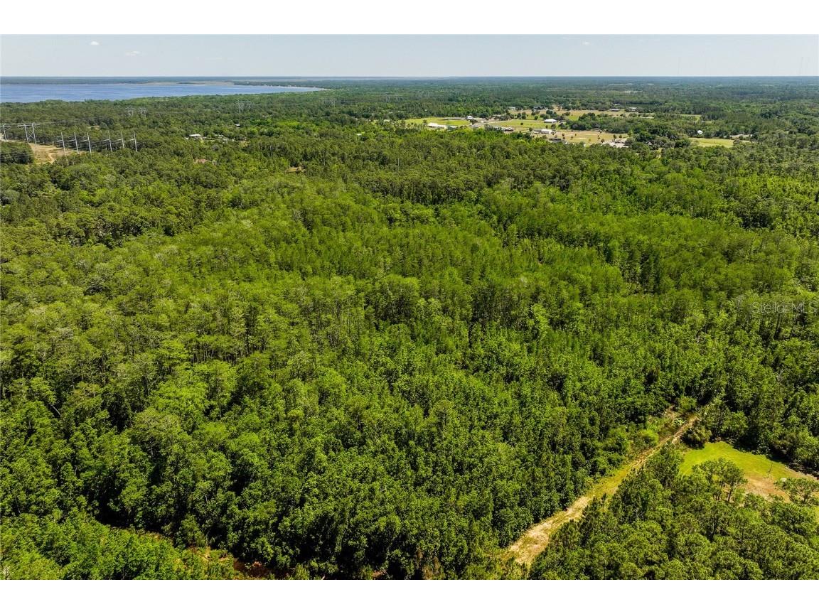 Stafford Trail Geneva FL 32732 O6297446 image11