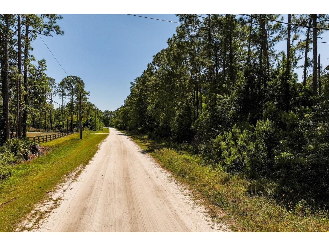 Stafford Trail Geneva FL 32732 O6297446 image4