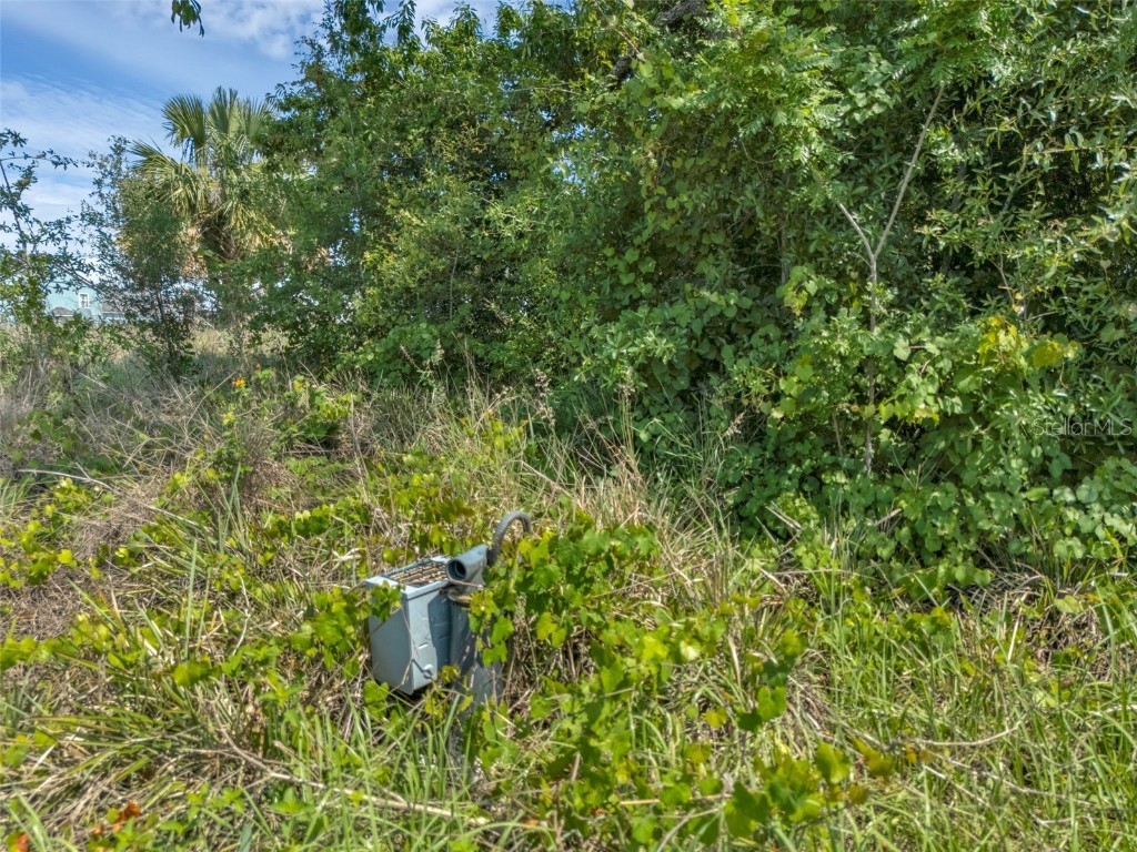 Starcrest Lane Clermont FL 34715 - DEACON LAKE G5097586 image4