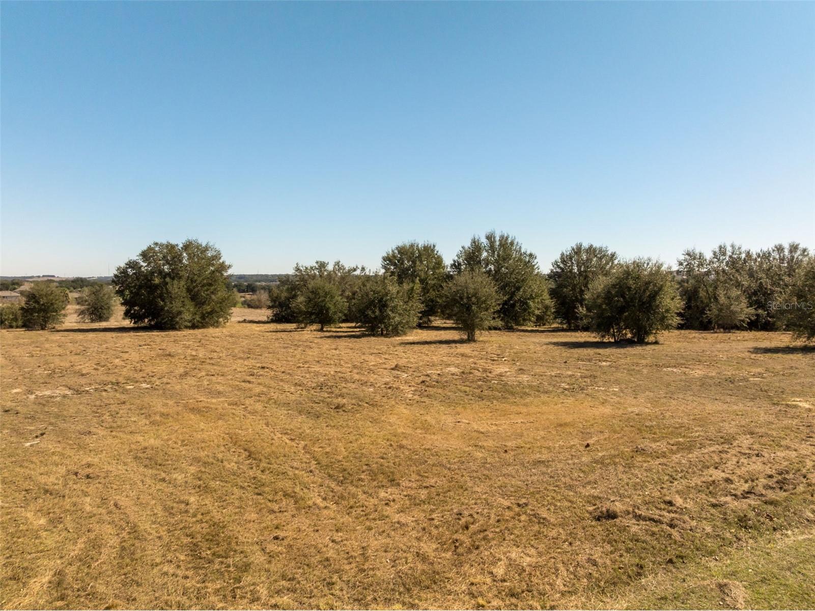 Starcrest Ln Minneola FL 34715 G5108822 image11