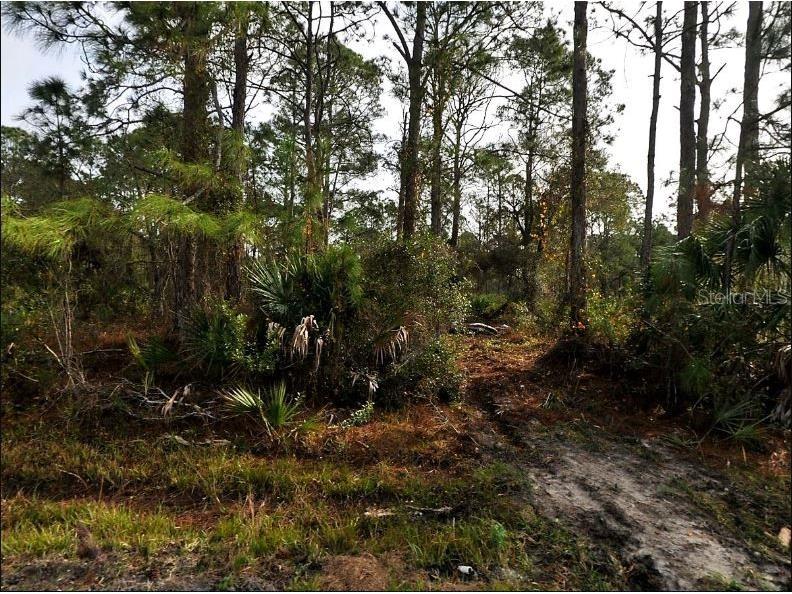 Starfish Avenue North Port FL 34291 O6230816 image2