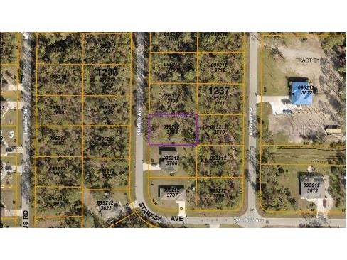 Starfish Avenue North Port FL 34291 O6230816 image3