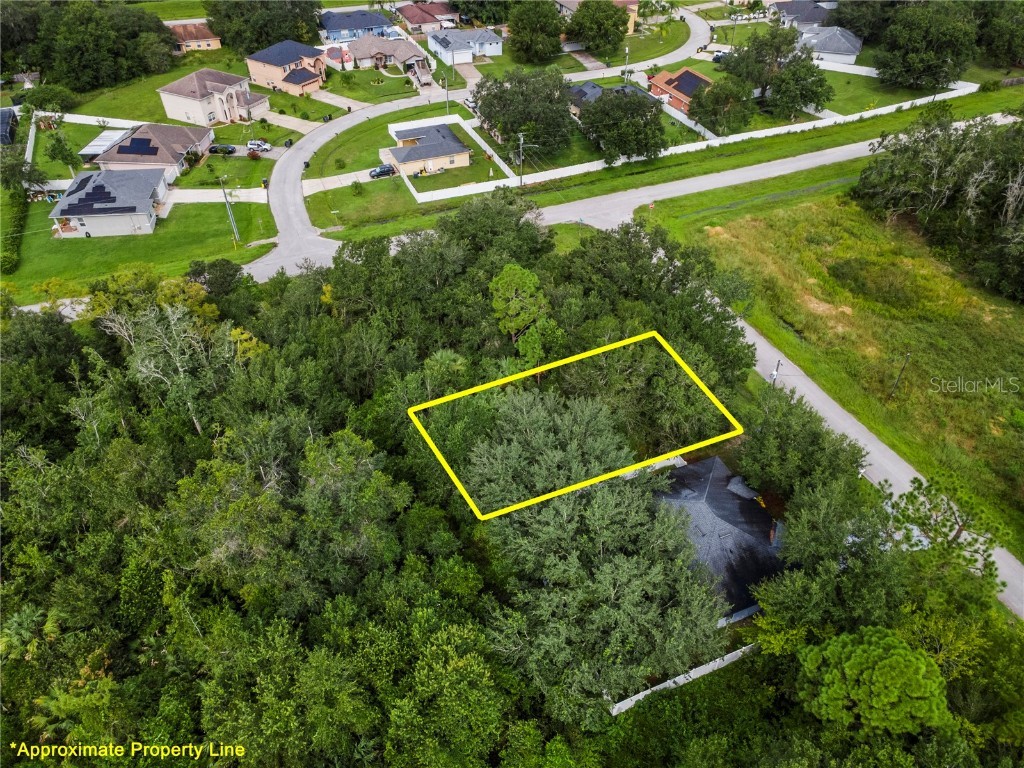 Starling Ct. Poinciana FL 34759 O6345730 image3