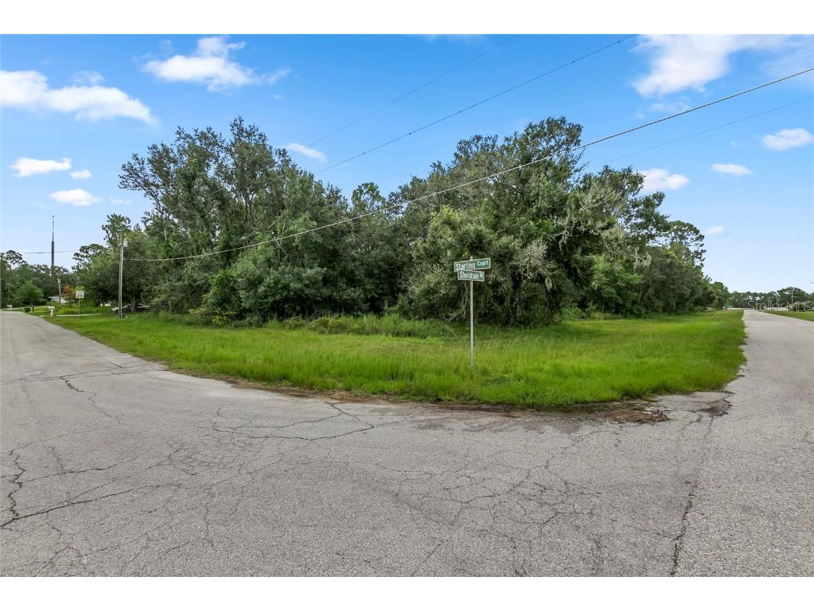 Starling Ct. Poinciana FL 34759 O6345730 image6