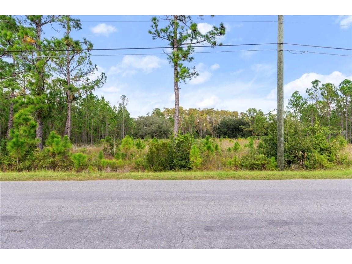 Starry St Orlando FL 32833 O6354391 image2