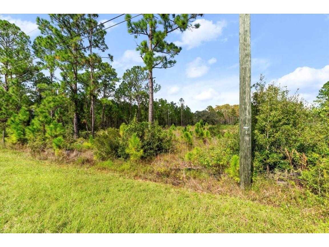 Starry St Orlando FL 32833 O6354391 image3