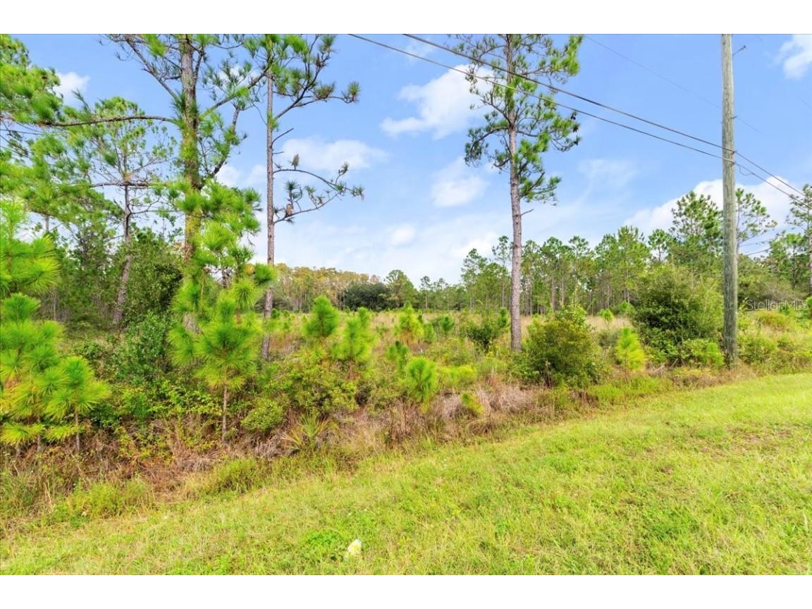 Starry St Orlando FL 32833 O6354391 image4